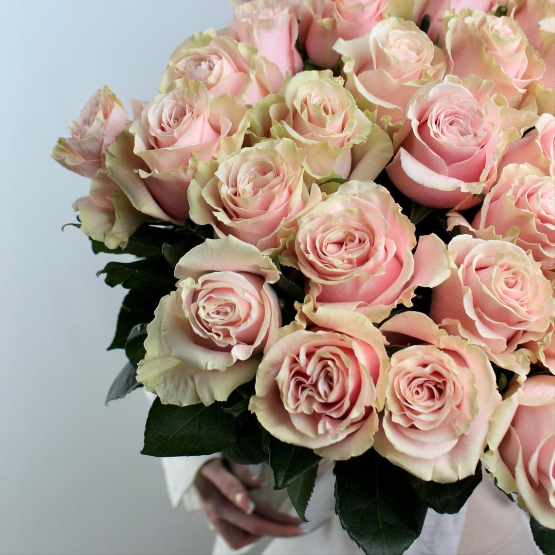 Роза Эквадор Pink Mondial 50 см
