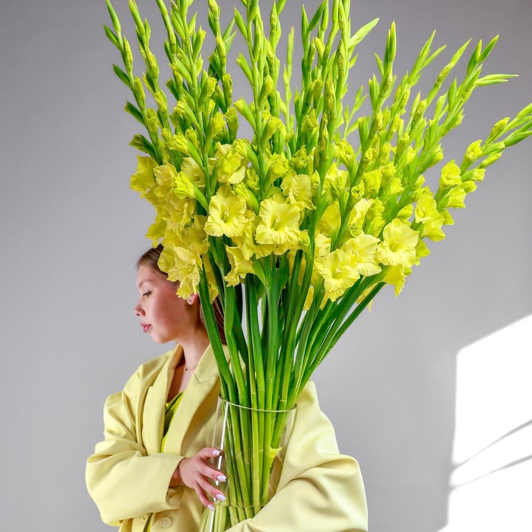 Гладиолус Yellow