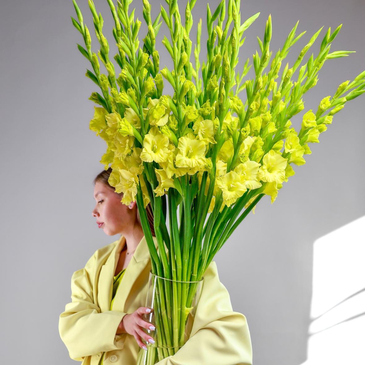 Гладиолус Yellow