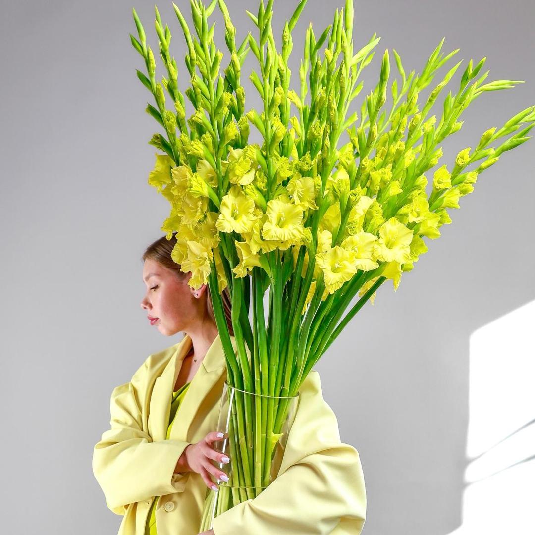 Гладиолус Yellow
