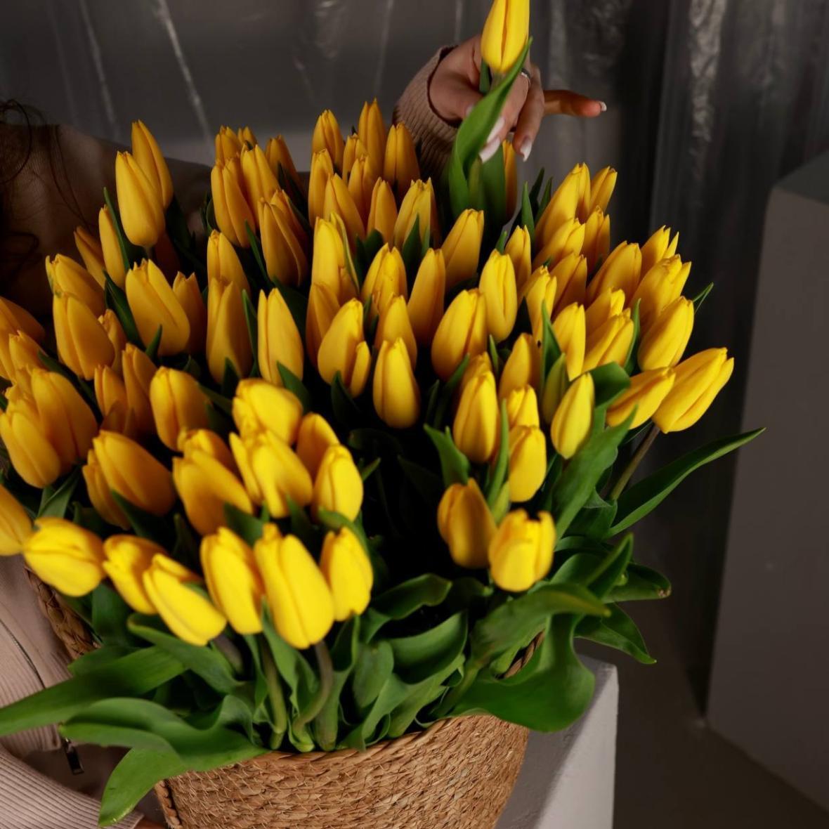 Тюльпан Казахстан желтый