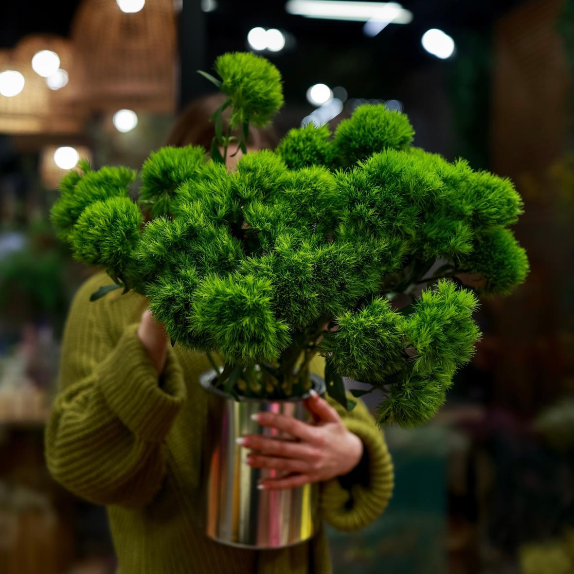 Гвоздика green trick