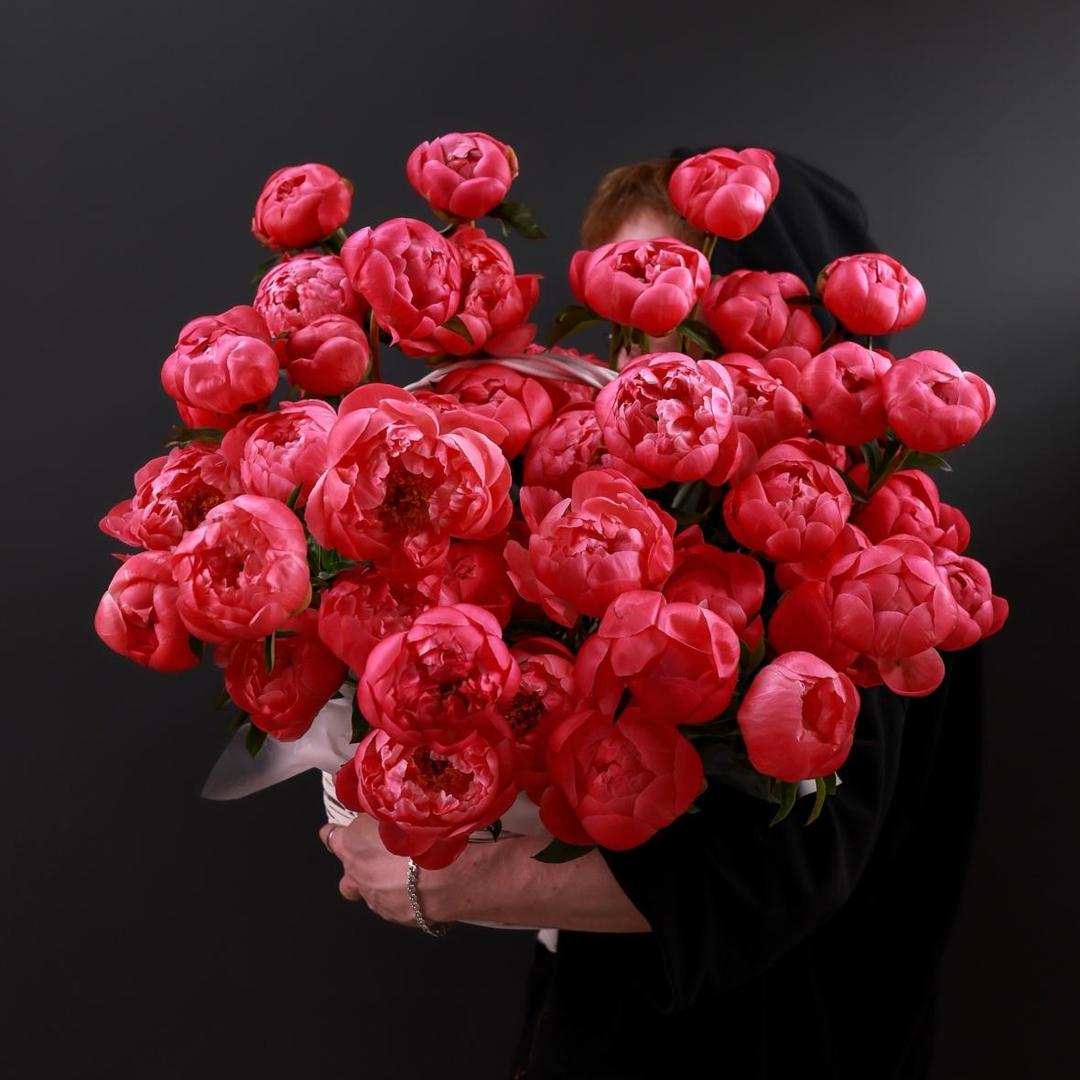 Корзина пионов сорта Coral Charm