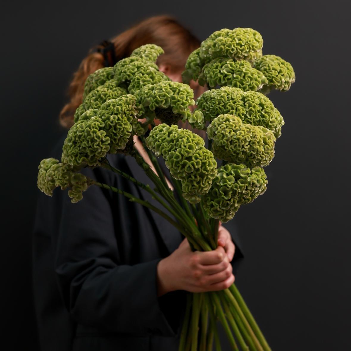 Целозия Green