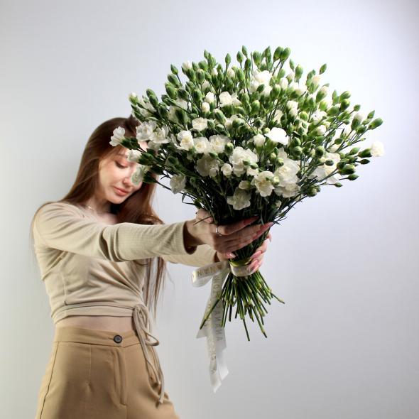 Гвоздика кустовая белая