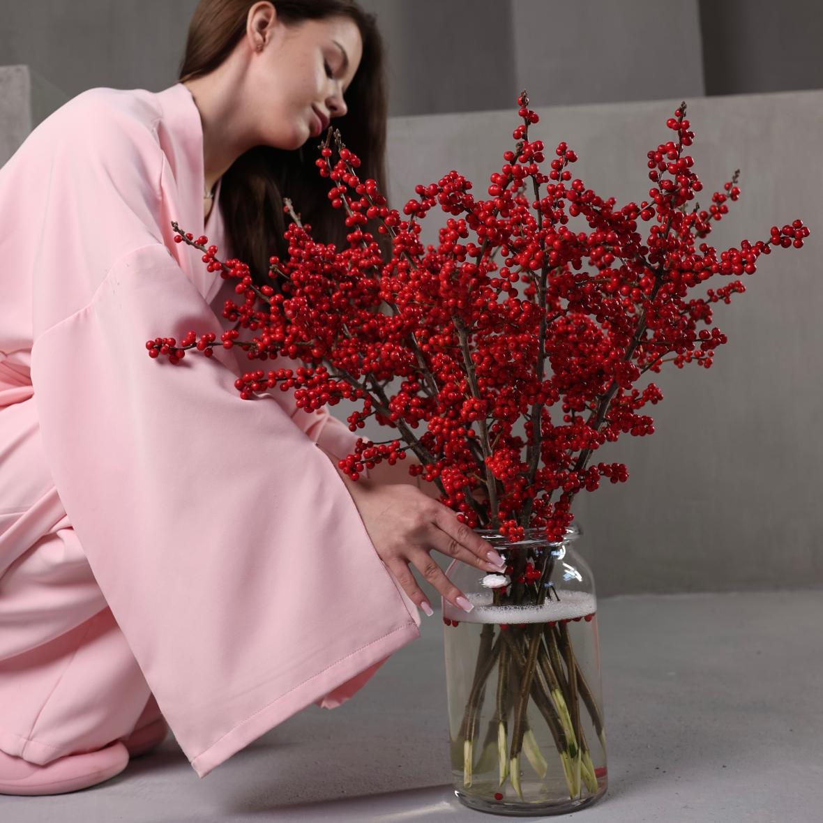 Илекс красный