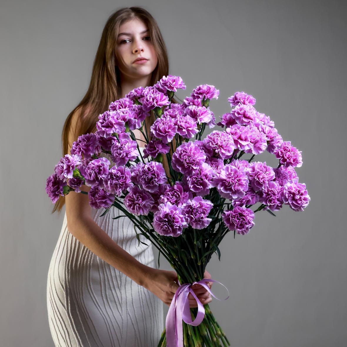 Гвоздика сорта Moon Aqua