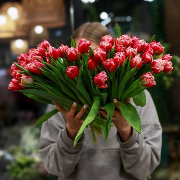 Тюльпан Коламбус